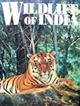 Wildlife of India by Unassigned