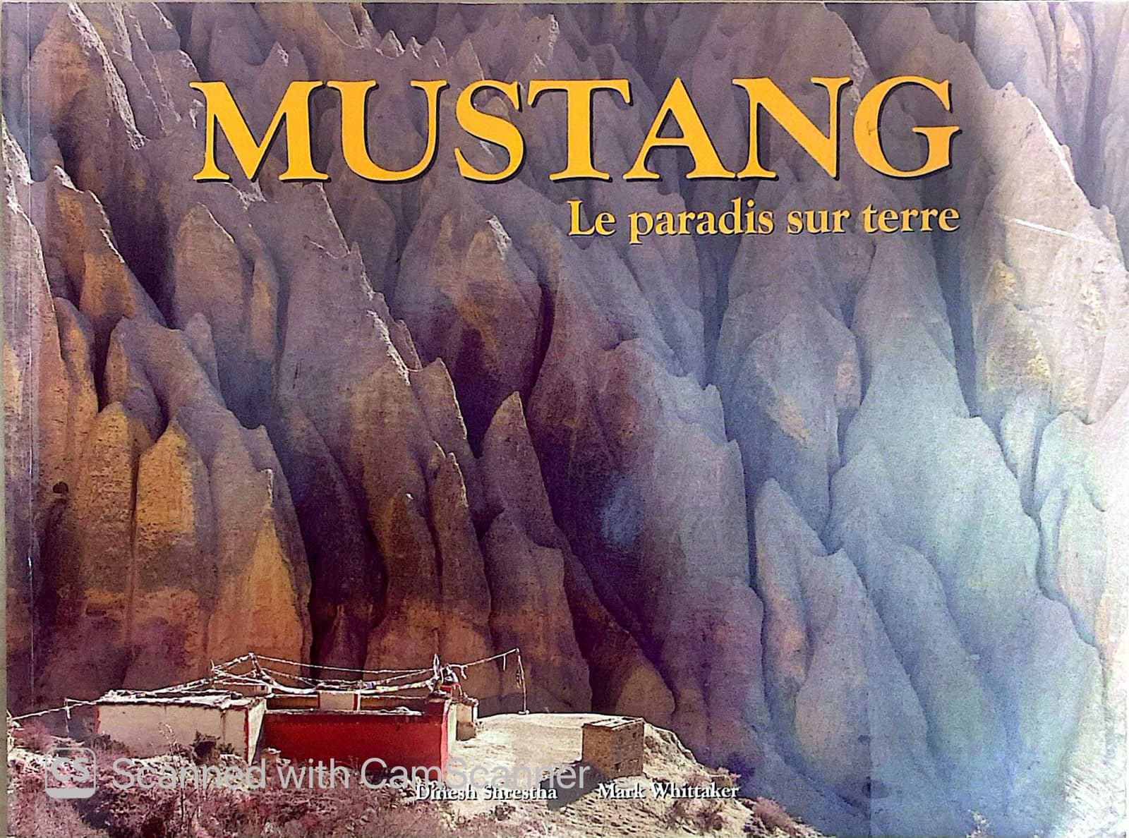 Mustang Le Paradis Sur Terre by Mark Whittaker