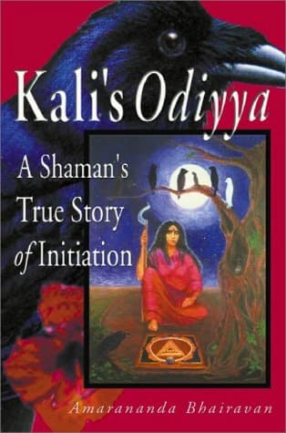 A shaman's true story of initiation by Amarananda Bhairavan