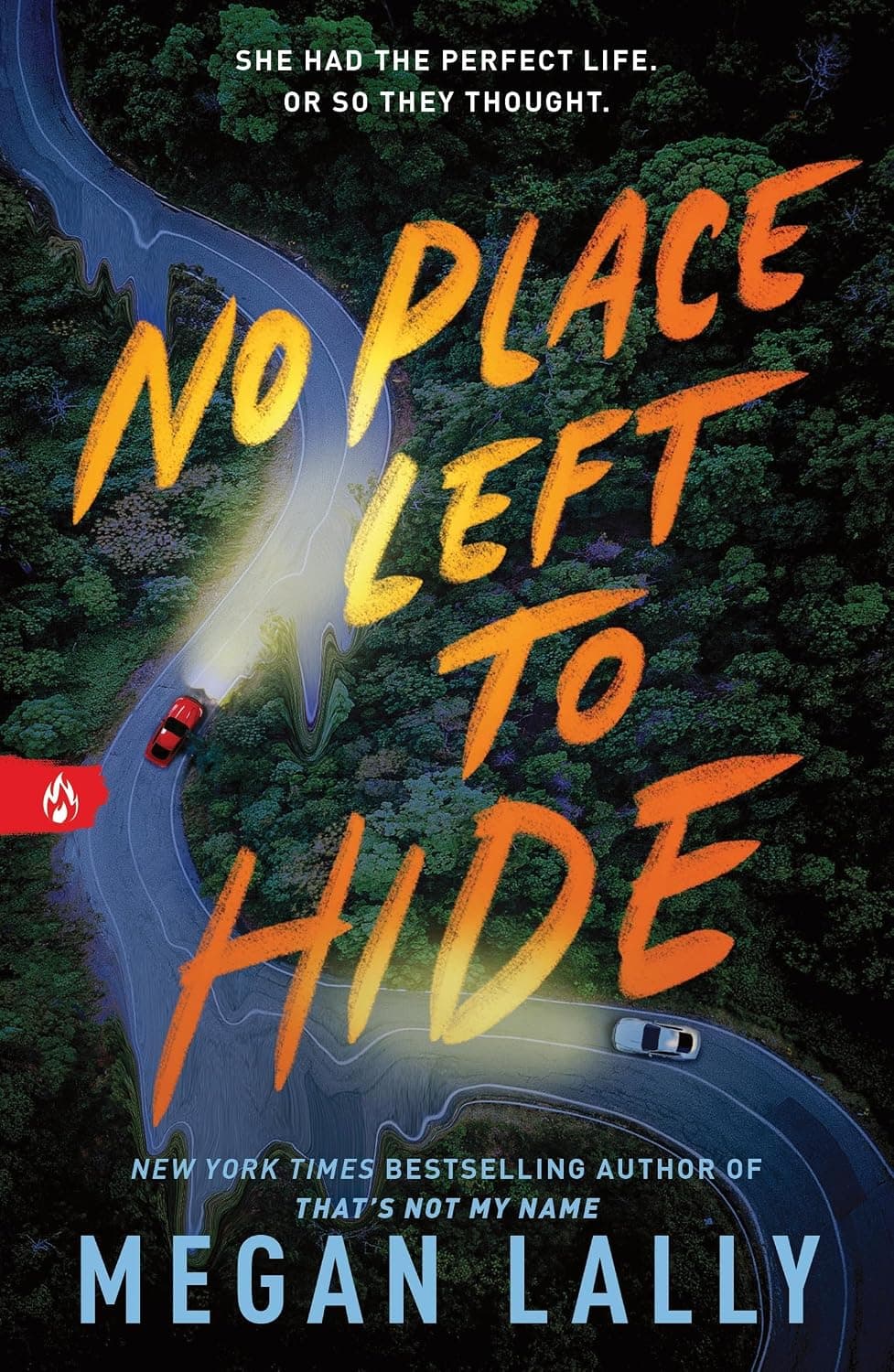 No Place Left to Hide by Megan Lally