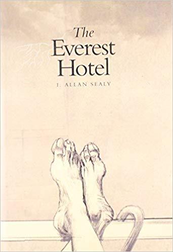 The Everest Hotel by Allan Sealy