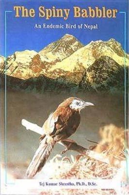 The spiny babbler by Tej Kumar Shrestha