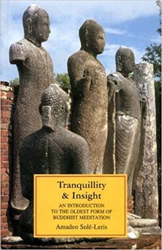 Tranquillity and Insight by Amadeo Sole Leris
