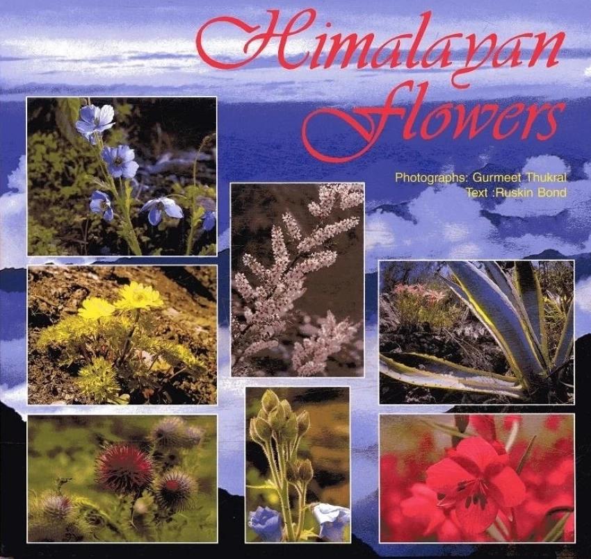 Himalayan flowers by Gurmeet Thukai
